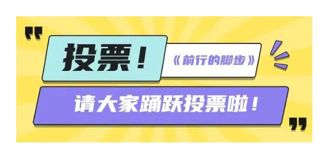网上投票刷票-刷票如何快速有效投票
